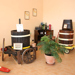 Azienda Vinicola ValleErro - Malfatti Marco e Roberto - Cartosio (AL) - Vini Piemontesi